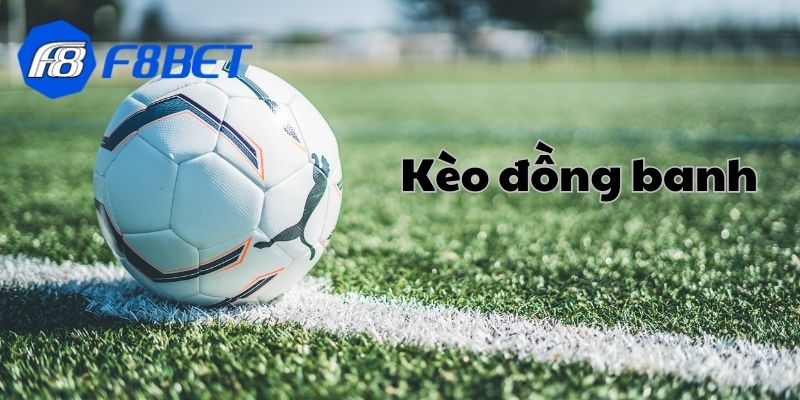 Kế hoạch quản lý nguồn vốn hiệu quả