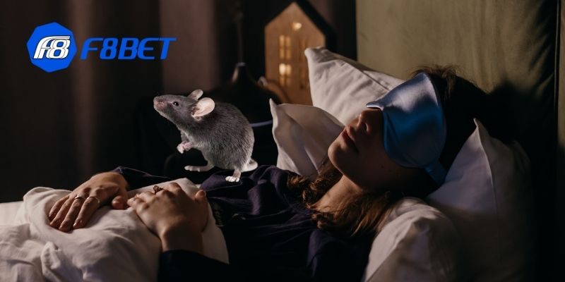 Những giấc mơ phản ánh trước tương lai