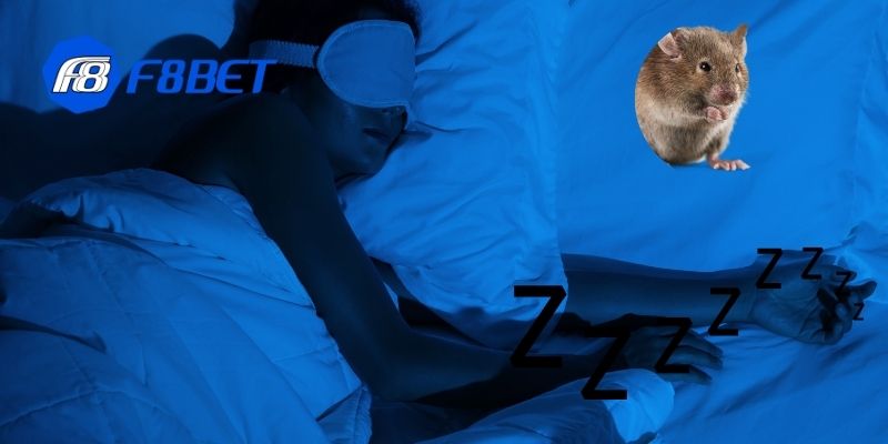 Nằm mơ thấy chuột liệu có đúng là bạn đang mất niềm tin?