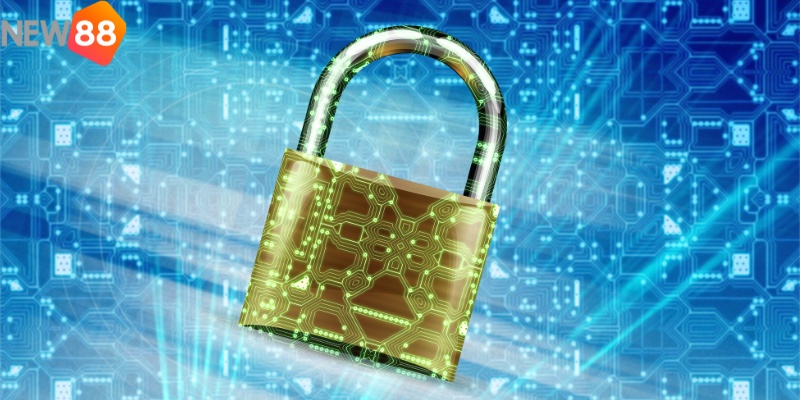 Tốc độ truy cập ổn định vào bảo mật cao