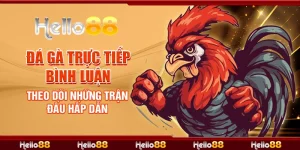 đá gà trực tiếp bình luận