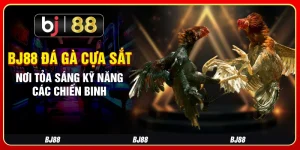 Bj88 Đá Gà Cựa Sắt - Nơi Tỏa Sáng Kỹ Năng Các Chiến Binh