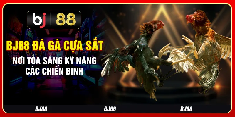 Bj88 Đá Gà Cựa Sắt - Nơi Tỏa Sáng Kỹ Năng Các Chiến Binh