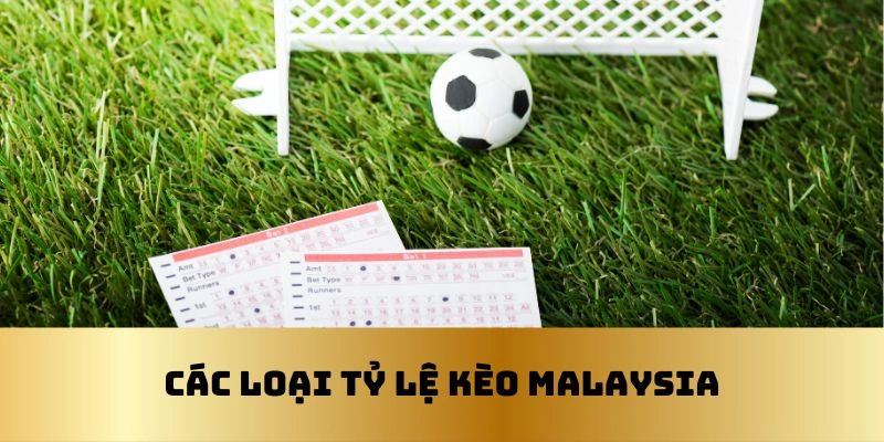 Một số loại kèo