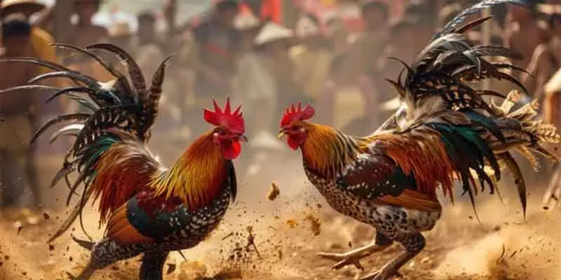 Trận đấu kinh điển