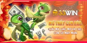 Mơ Thấy Con Rùa - Giải Mã Giấc Mơ Và Các Con Số May Mắn