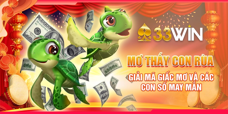 Mơ Thấy Con Rùa - Giải Mã Giấc Mơ Và Các Con Số May Mắn