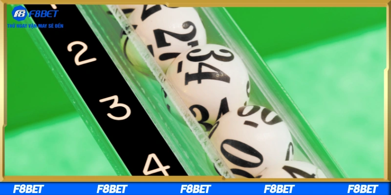 Phân tích xu hướng thống kê trong cá cược