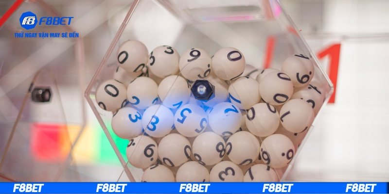 Chiến thuật nuôi và đánh lô hiệu quả