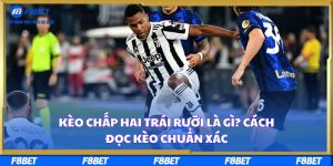 Kèo Chấp Hai Trái Rưỡi Là Gì? Cách Đọc Kèo Chuẩn Xác