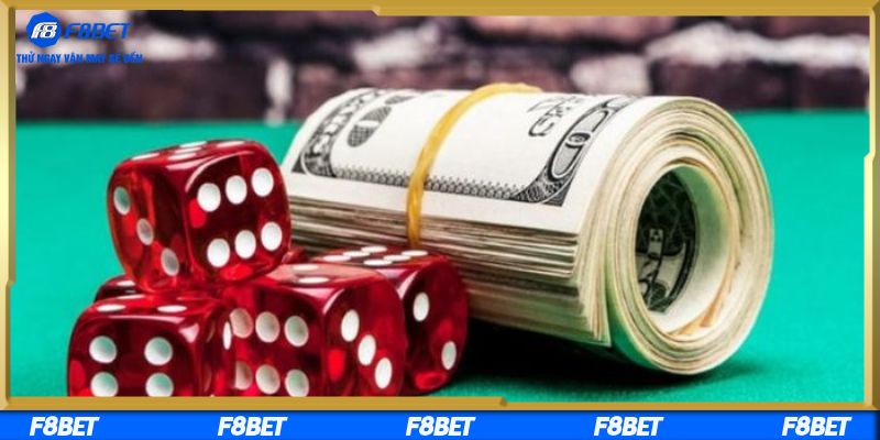 Cách đọc kết quả và chọn cửa cược